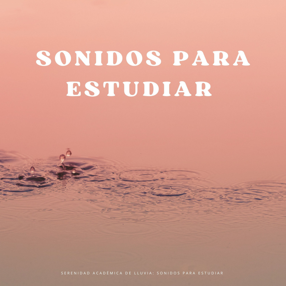 Flujo De Estudio Productivo Con Lluvia