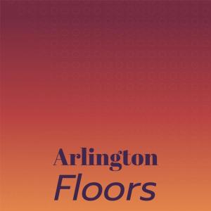 Listen to Arlington Floors song with lyrics from Bobbo Erbay