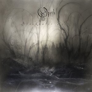 ดาวน์โหลดและฟังเพลง Patterns in the Ivy พร้อมเนื้อเพลงจาก Opeth