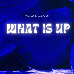 ดาวน์โหลดและฟังเพลง what is up (feat. Valious) พร้อมเนื้อเพลงจาก Vaylo