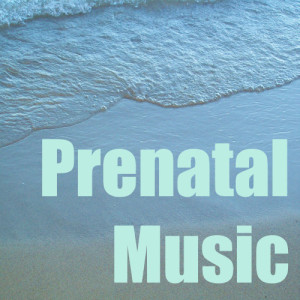 อัลบัม Prenatal Music ศิลปิน The Egg