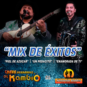 ดาวน์โหลดและฟังเพลง Mix Exitos: Piel de Azucar / Un pedacito / Enamorada de ti พร้อมเนื้อเพลงจาก Chava Hernandez y El Kambio