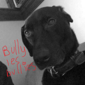 อัลบัม Bully les bullies ศิลปิน Joël Martel