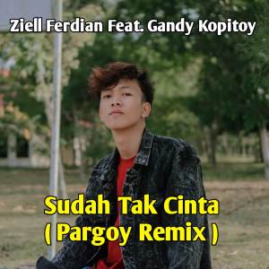 收聽Ziell Ferdian的Sudah Tak Cinta (Pargoy Remix)歌詞歌曲