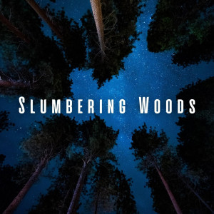 Natural Woodland Sound的專輯Slumbering Woods: Forest Sleep Soundscapes