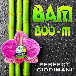ดาวน์โหลดและฟังเพลง Trench Town พร้อมเนื้อเพลงจาก Perfect Giddimani