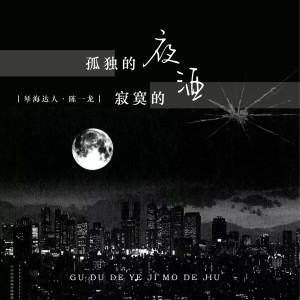 Album 孤独的夜寂寞的酒 from 琴海达人