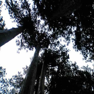 收聽miduno的Nature Sound - Mizunami - Stream01歌詞歌曲