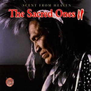 ดาวน์โหลดและฟังเพลง Ya Nee Ha พร้อมเนื้อเพลงจาก Mystic Rhythms Band