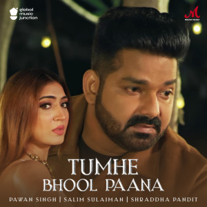 ดาวน์โหลดและฟังเพลง Tumhe Bhool Paana พร้อมเนื้อเพลงจาก Pawan Singh