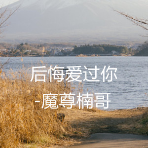 Listen to 伤感独白哭腔之伤心女人第二十部 song with lyrics from 魔尊楠哥