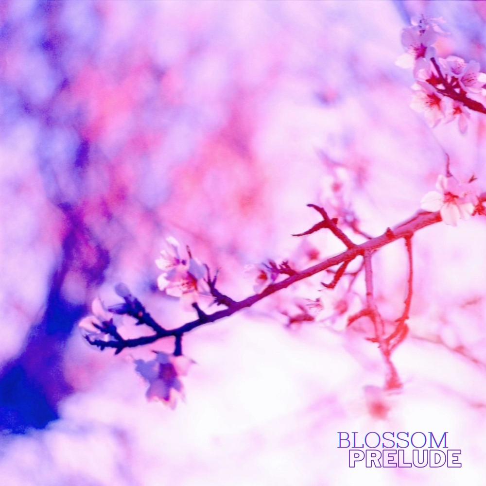 Blossom Prelude