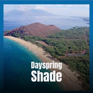 Dayspring Shade dari Various