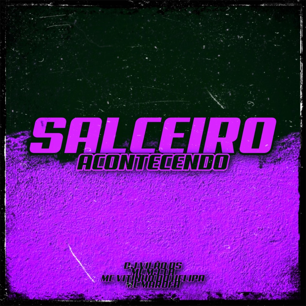 Salseiro Acontecendo (feat. Mc Marofa) (Explicit)