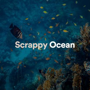 收聽Ocean Waves For Sleeping的Ocean Deserved歌詞歌曲