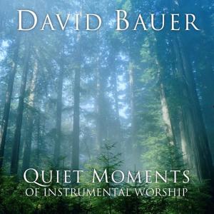 อัลบัม Quiet Moments of Instrumental Worship ศิลปิน David Bauer