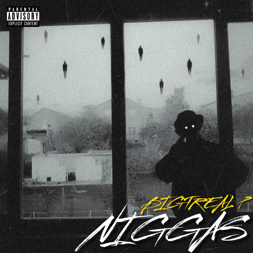 Niggas (Explicit)