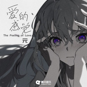 Album 爱的感觉 from 元