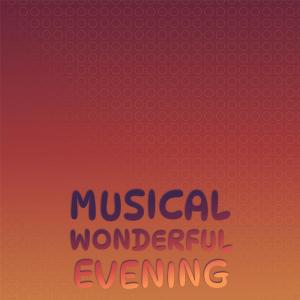 Album Musical Wonderful Evening from Various