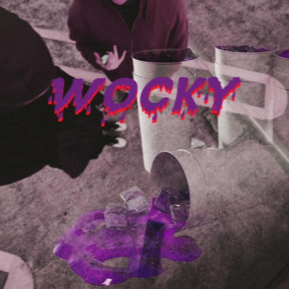 wocky (feat. SOSOO) (Explicit)