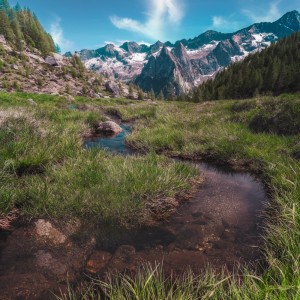 Listen to Harmony Hideaway song with lyrics from Leonardo Costa