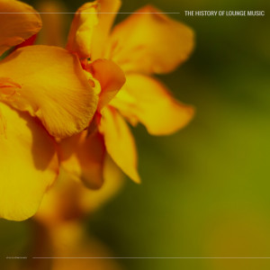Various Artists的專輯The History of Lounge Music