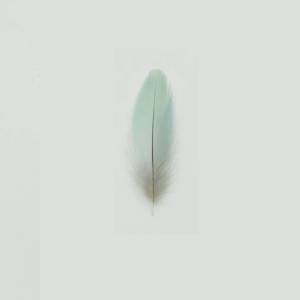 Album 羽翼 from WiFi歪歪