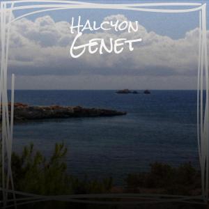 ดาวน์โหลดและฟังเพลง Halcyon Genet พร้อมเนื้อเพลงจาก Johary Mien
