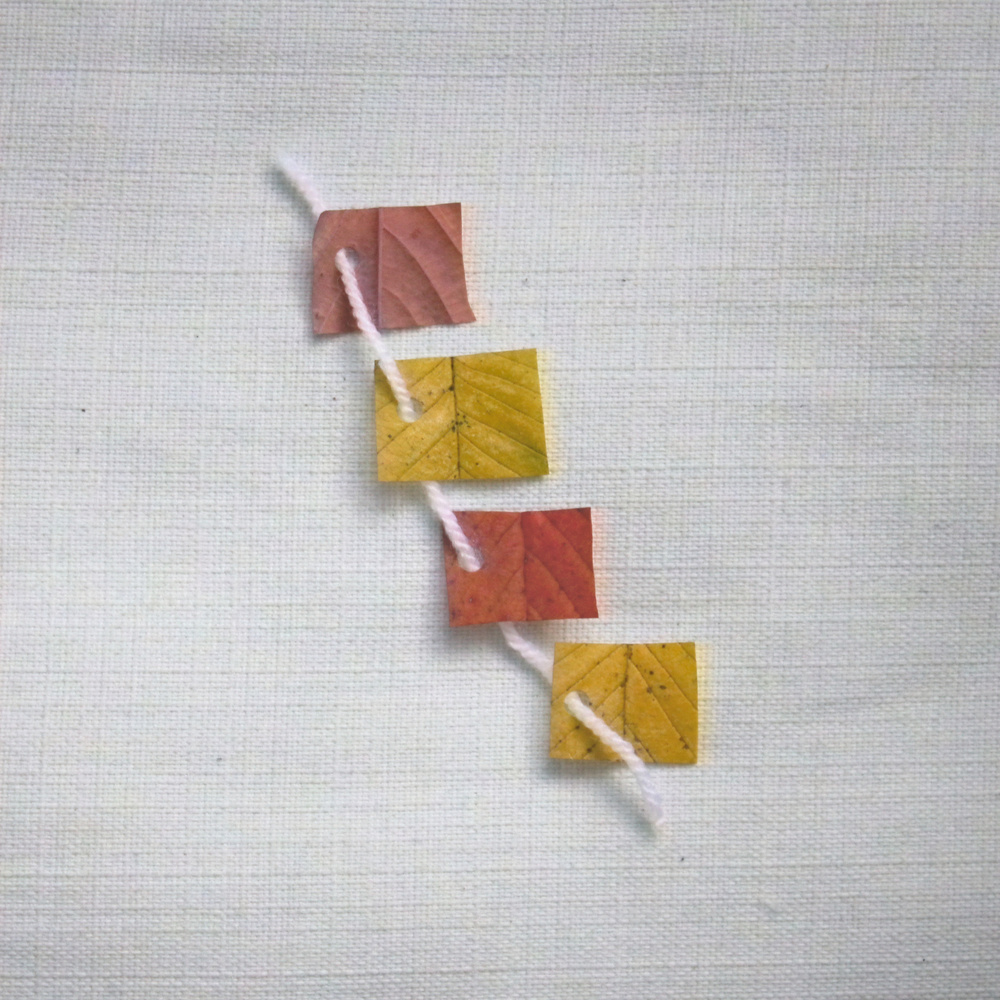 Falling Leaves