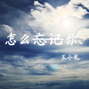 王小乱的专辑怎么忘记你