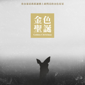 Album 金色圣诞 from 潮电II-电子实验室