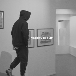 Album серым (Explicit) from YADDAY