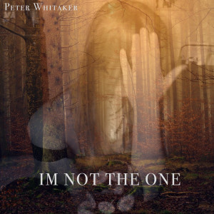 Dengarkan Im Not the One lagu dari Peter Whitaker dengan lirik
