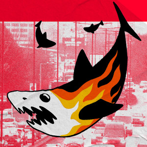 default album img