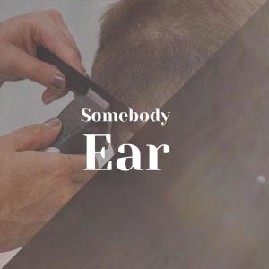 Listen to Somebody Ear song with lyrics from Larsa