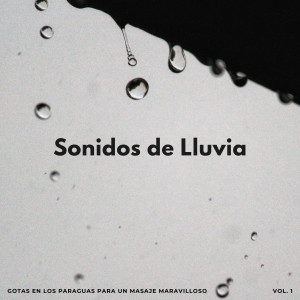 Palacio de la lluvia的專輯Sonidos De Lluvia: Gotas En Los Paraguas Para Un Masaje Maravilloso