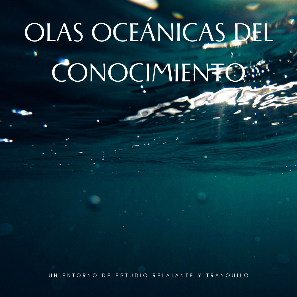 Estudiar Feliz Junto Al Océano