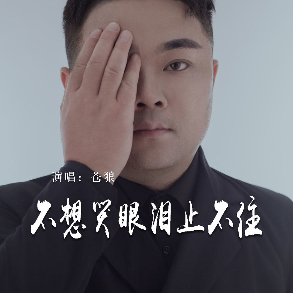 不想哭眼泪止不住 (Live合唱版伴奏)
