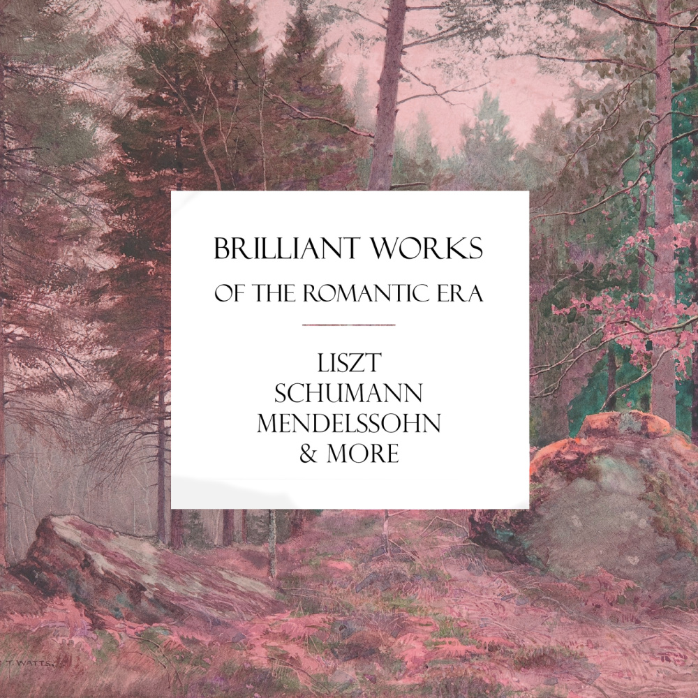 Liszt: Etudes d'exécution transcendante d'après Paganini, S. 140: V. Etude in E Major. La chasse