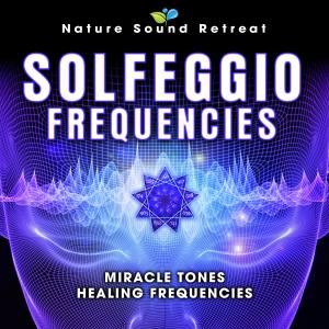 收聽Nature Sound Retreat的285 Hz Healing Solfeggio Frenquency - Heal Tissues & Organs (Deep Sleep Music & Nature Sounds)歌詞歌曲