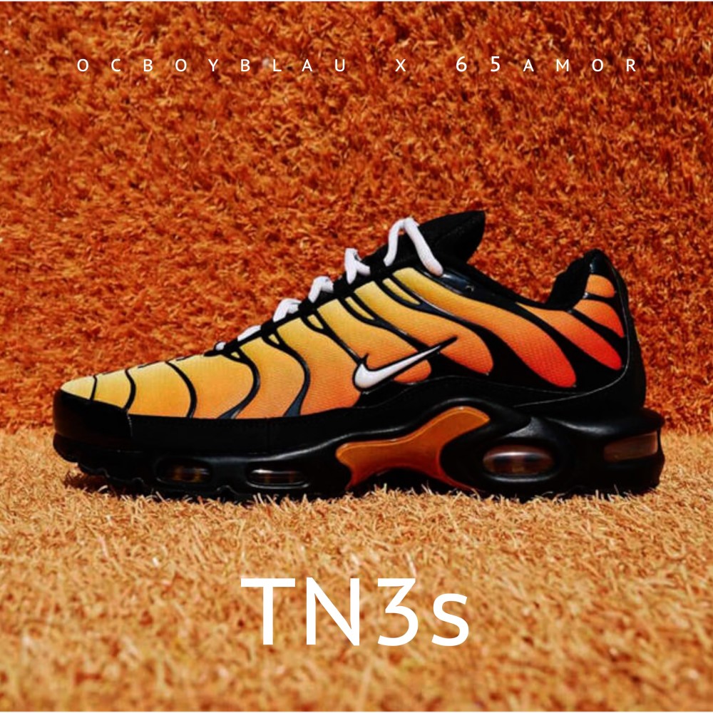 TN3s (Explicit)