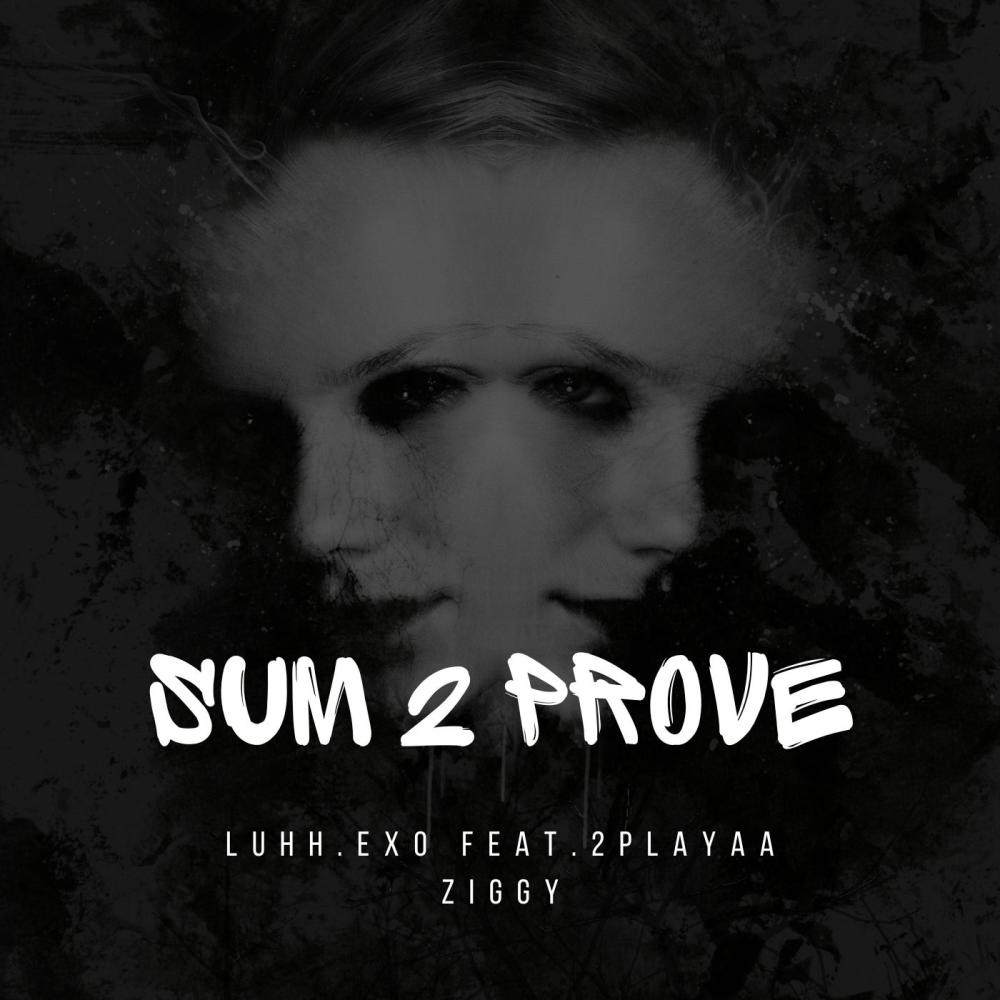 Sum 2 Prove Sped (feat. 2playaa ziggy) (Sped Version) (Explicit)