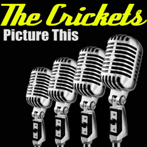 ดาวน์โหลดและฟังเพลง The Best In Me พร้อมเนื้อเพลงจาก The Crickets