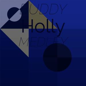 Silvia Natiello-Spiller的专辑Buddy Holly Medley