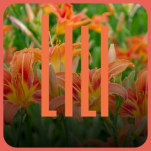 收聽The Bachelors的Killing Me Softly歌詞歌曲