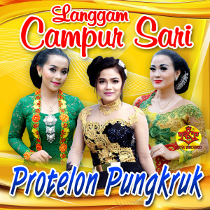 收聽Langgam Campursari的Protelon Pungkruk (feat. Vivi Velota)歌詞歌曲