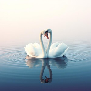 收聽Hariom Kumar的Endless Horizon歌詞歌曲