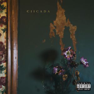 อัลบัม CIICADA (Explicit) ศิลปิน MIKE SUMMERS