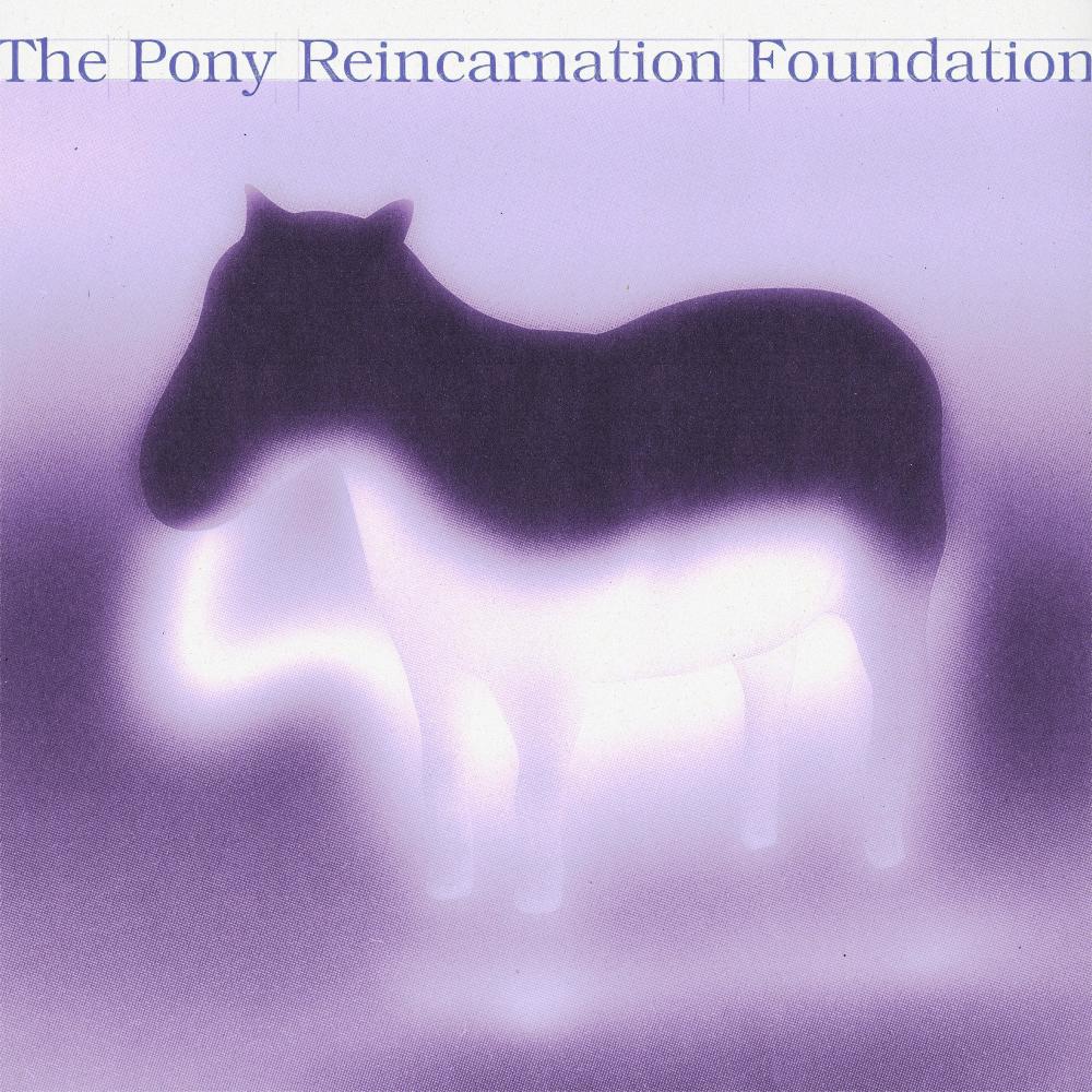 Pony Lonely (feat. twotom land, carlos niño, devon again & laraaji)