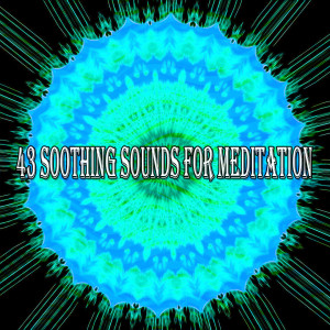 ดาวน์โหลดและฟังเพลง Celebration of Life พร้อมเนื้อเพลงจาก Asian Zen Spa Music Meditation